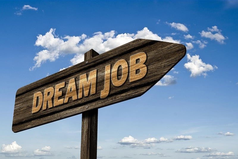 Job Search Strategies